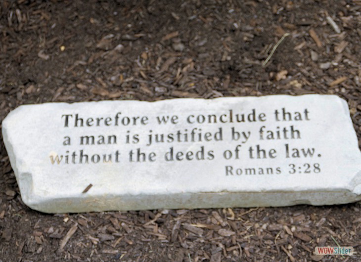 A reminder of the scriptural basis of our Lutheran beliefs as we leave Trinity